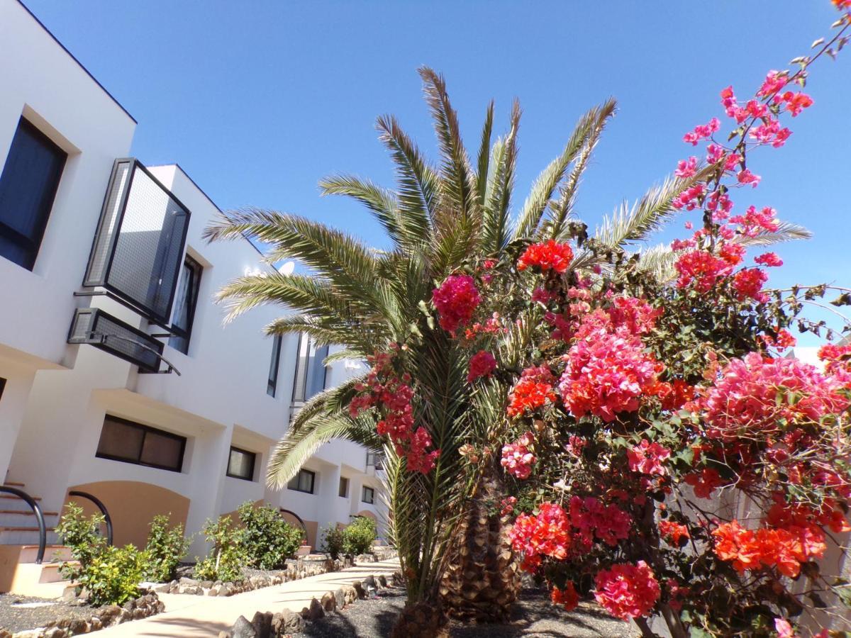 Amaya Ocean View Apartment Costa De Antigua Exterior foto